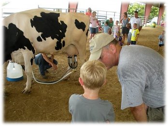 12th Annual Henry County Harvest Showcase