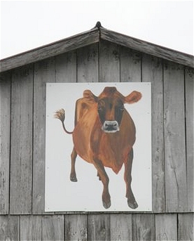 Jersey Joe--Barn Quilts