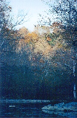 Henry County CROWE-CHASE