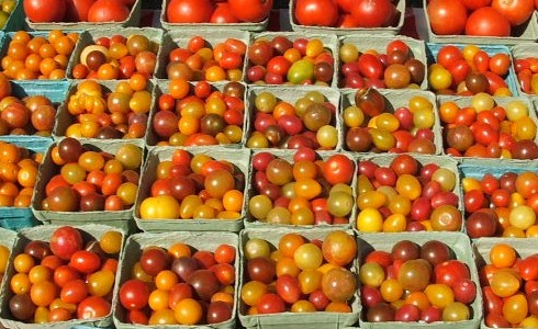 Henry County Harvest Showcase 2005