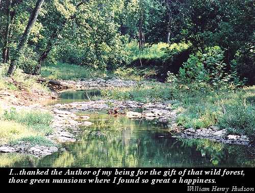 Six Mile Creek